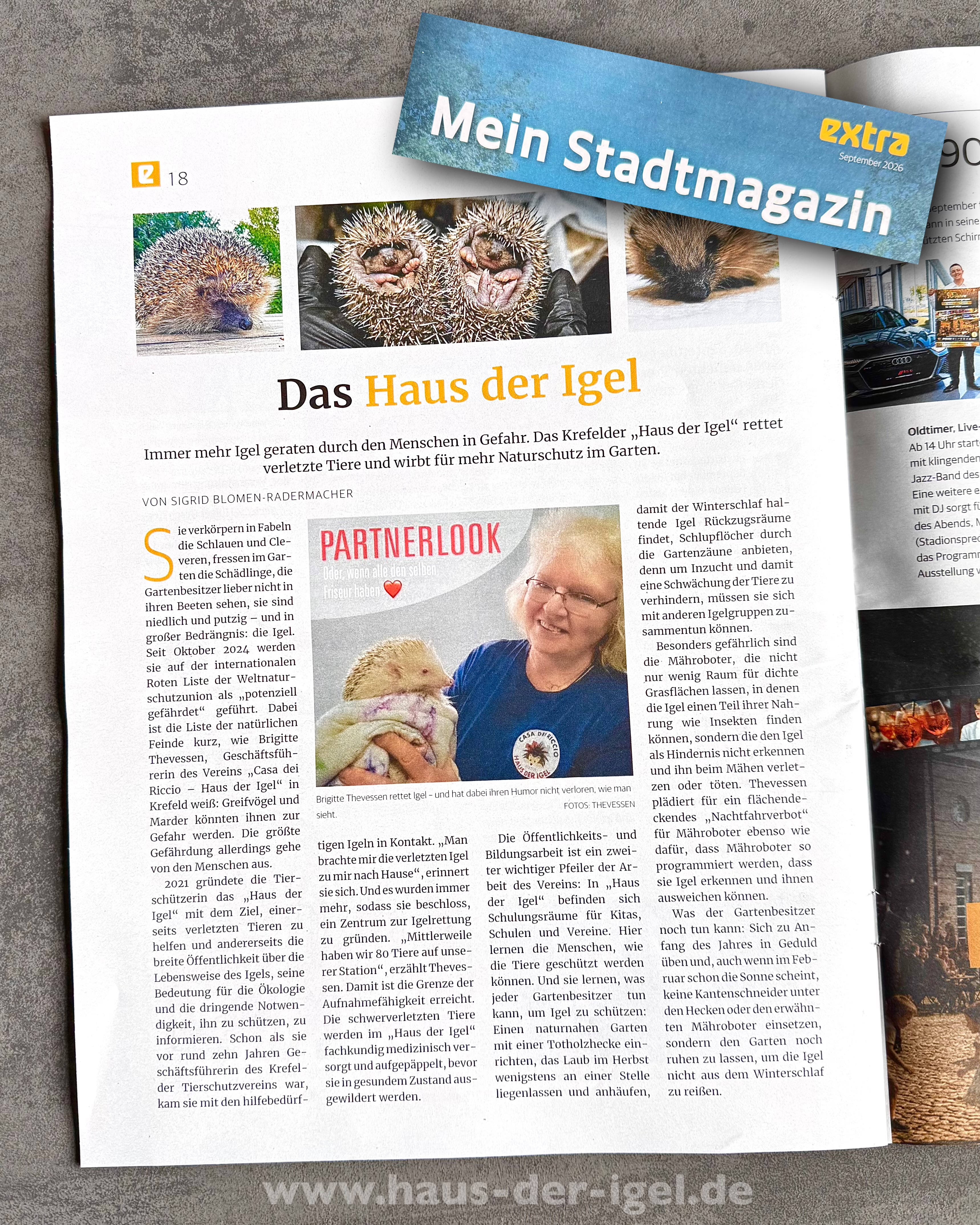 Artikel RP